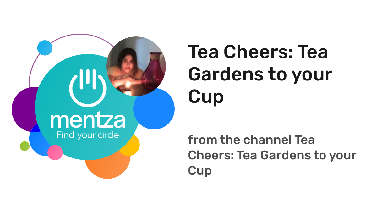 Tea Cheers Tea Gardens to your Cup Tea Cheers Tea Gardens to your